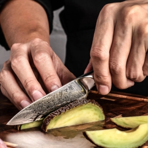 Ascension 5-Piece Knife Set - Akira Series