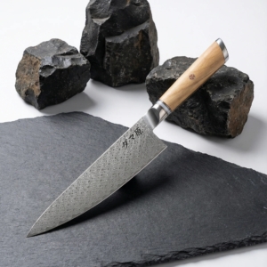 Gyuto Knife - Takumi Series