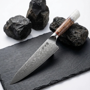 Gyuto Knife - Ryujin Series