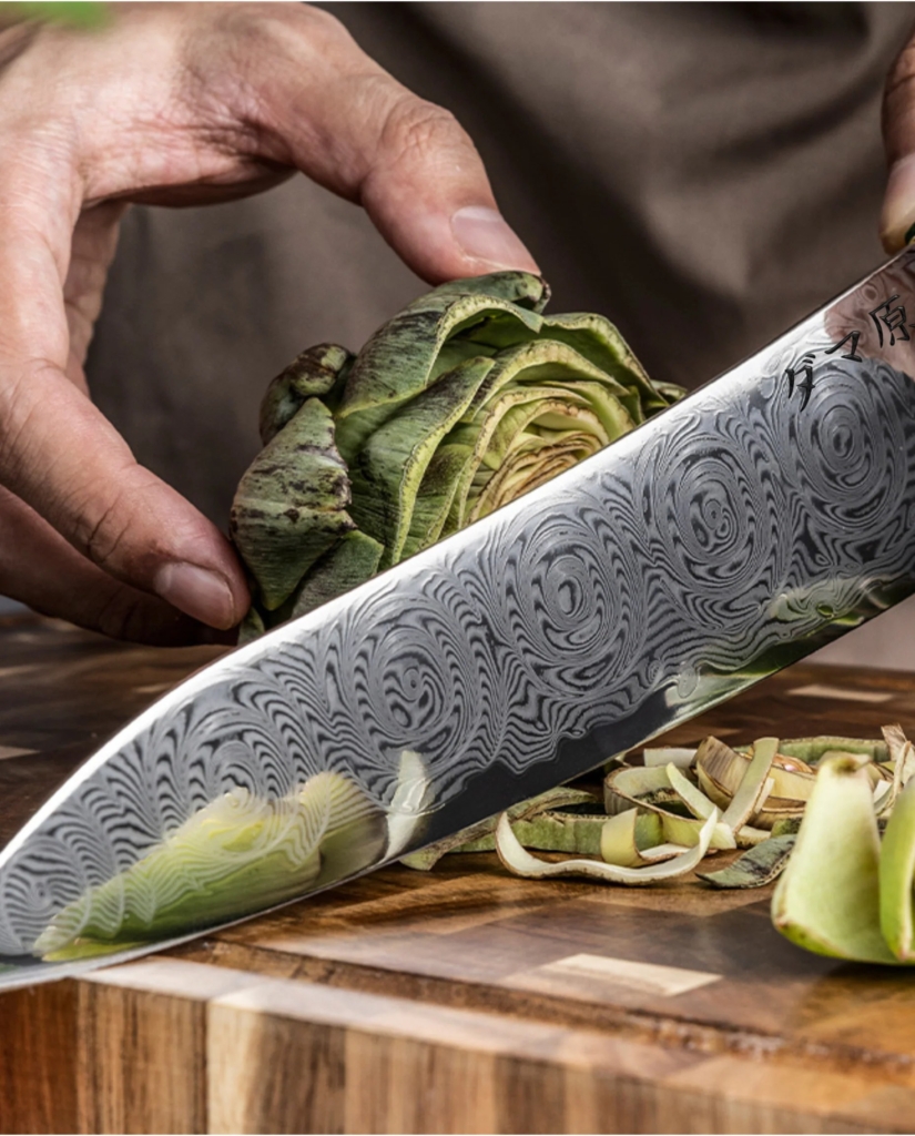 Gyuto Knife - Aoyama Series